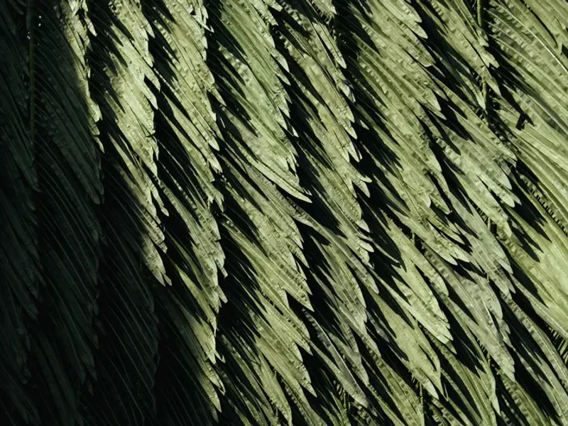 Rayyane Tabet Art Basel installation 2