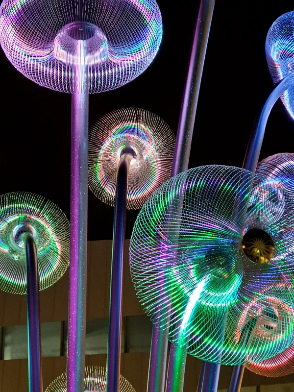 Bubble Forest 3