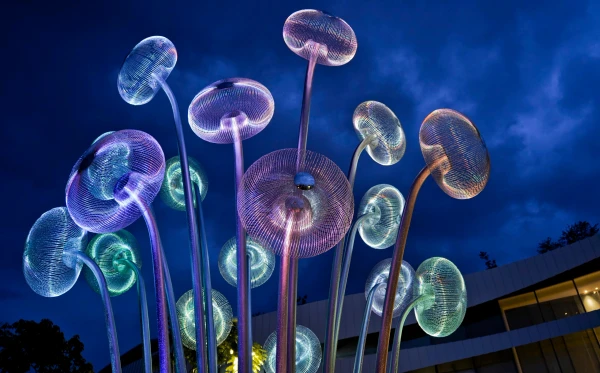 Bubble Forest