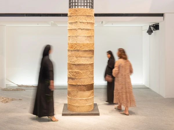Camoulflage : The fourth pillar 1